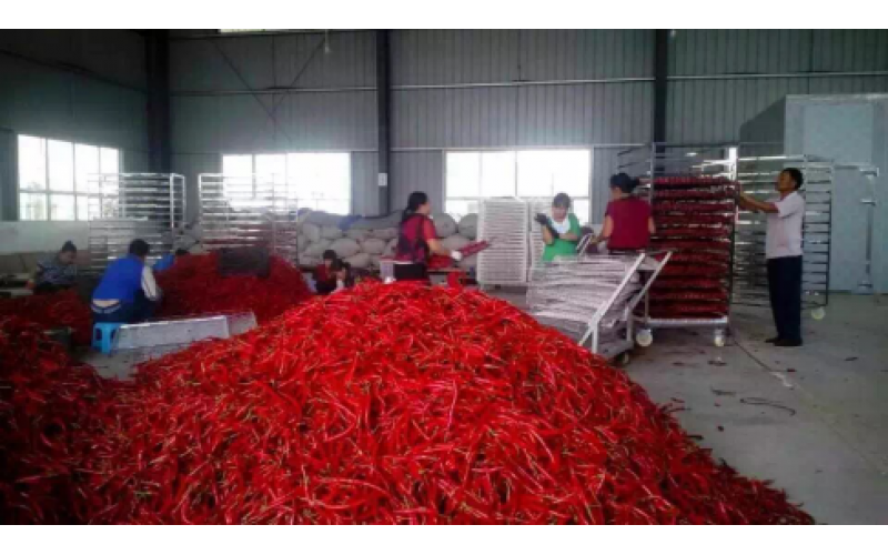 2021貴州辣椒加工產(chǎn)值150億元以上，空氣源熱泵烘干迎來(lái)爆發(fā)機(jī)遇